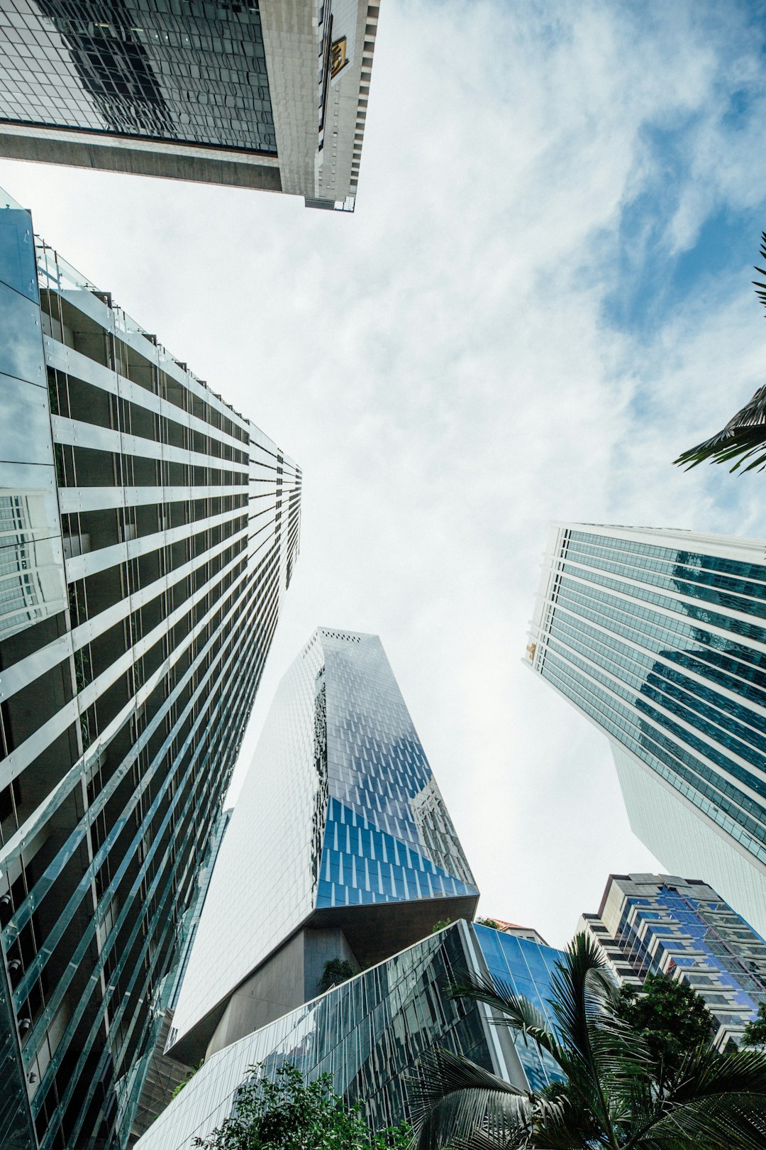 looking-up-at-tall-buildings-in-a-city-jsdxtlqreag